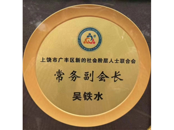 常务副会长